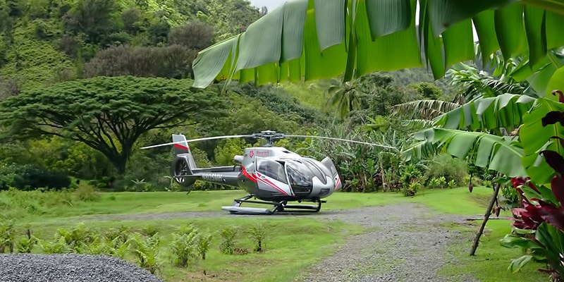 Hana Rainforest Experience