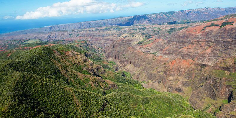 Kauai Discovery