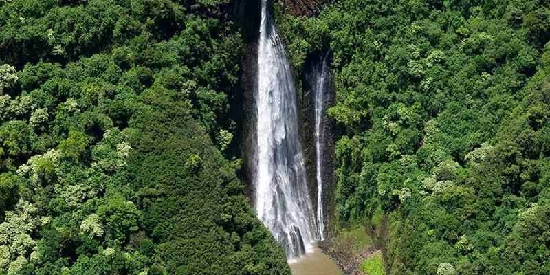 Kauai Discovery