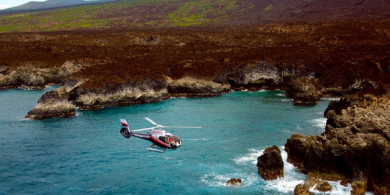 Maui Dream